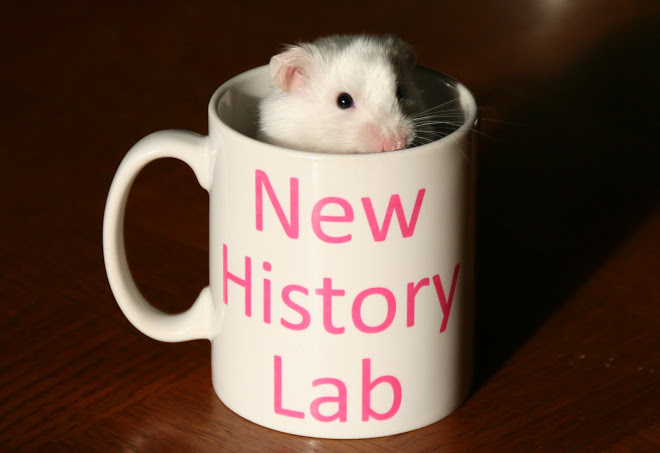 New History Lab